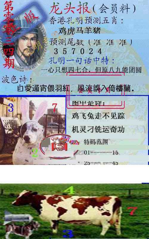 034期龙头报[图]